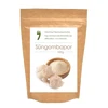 Nature7 Süngombapor 100g