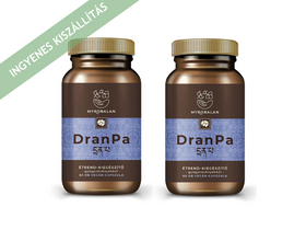 Myrobalan DranPa agyserkentő és memóriajavító gyógynövény-komplex 2x60db
