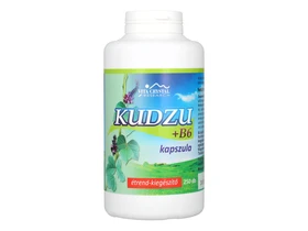 Flavin Kudzu+B6 250db