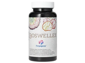 Boswellex kapszula 60db