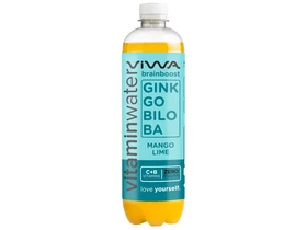 Viwa BrainBoost zero 600 ml