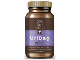 Myrobalan UriDag hólyaghurut és húgyúti fertőzések elleni gyógynövény-komplex 60db