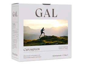 GAL Biocurcumin kapszula 30db