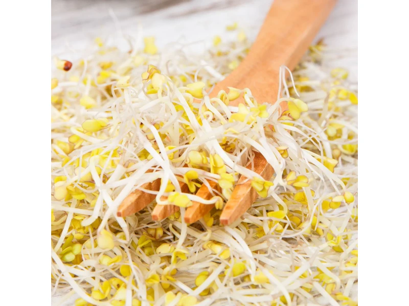 Legelde Brokkoli 150 g csíramag