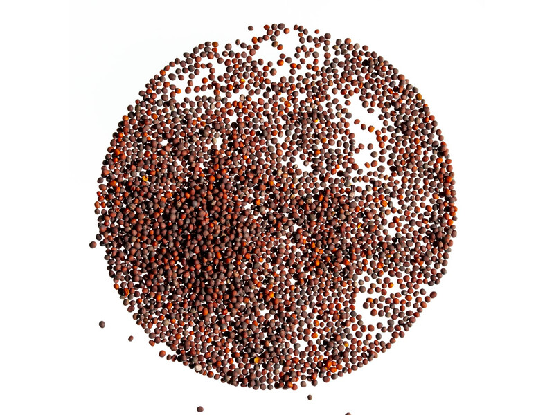 Legelde Brokkoli 150 g csíramag