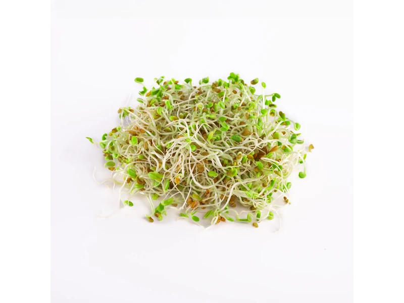 Legelde Bíborhere 150 g csíramag