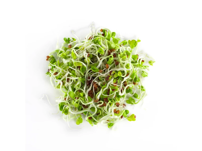 Legeldle Daikon Retek 150 g csíramag