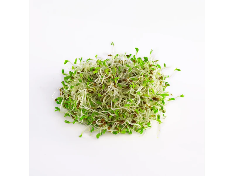 Legeldle Lucerna 150 g csíramag