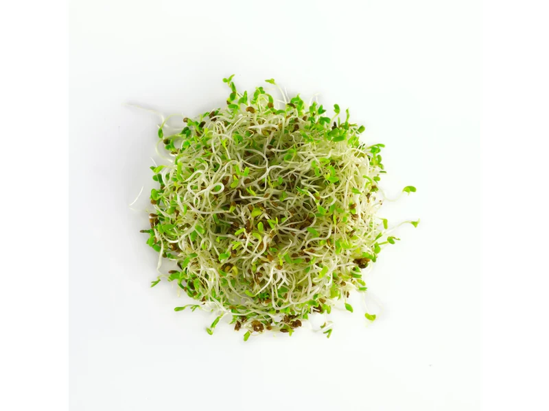 Legeldle Lucerna 150 g csíramag