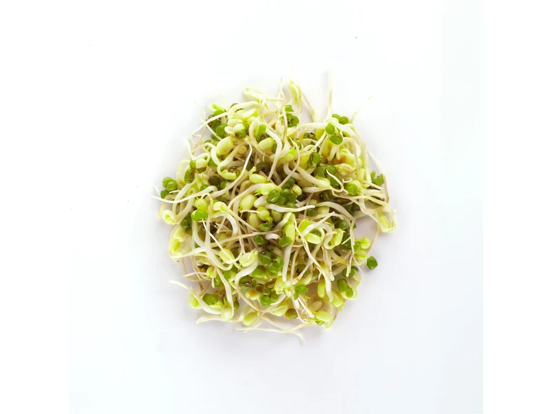 Legeldle Mungóbab 1000 g csíramag