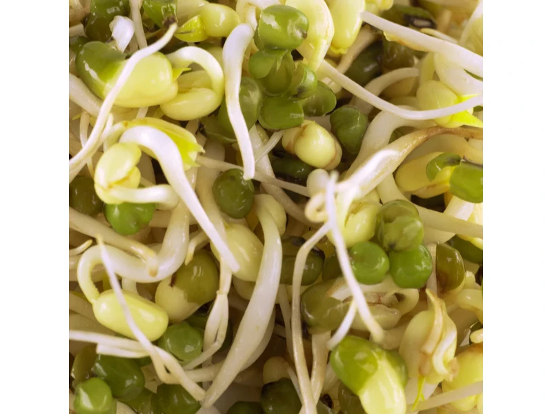 Legeldle Mungóbab 1000 g csíramag