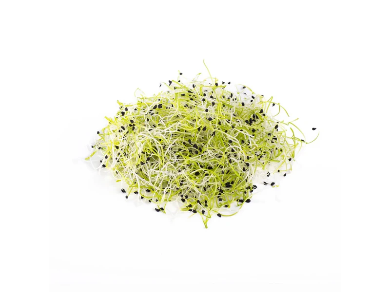 Legeldle Póréhagyma 50 g csíramag
