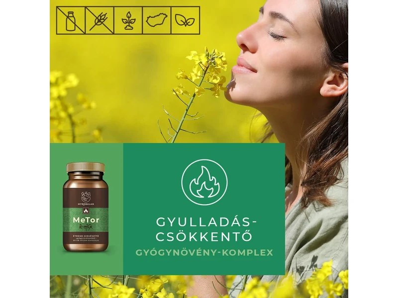 Myrobalan MeTor gyulladáscsökkentő gyógynövény-komplex 2x60db