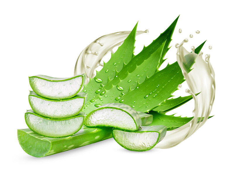 NT Aloe vera natur 1L