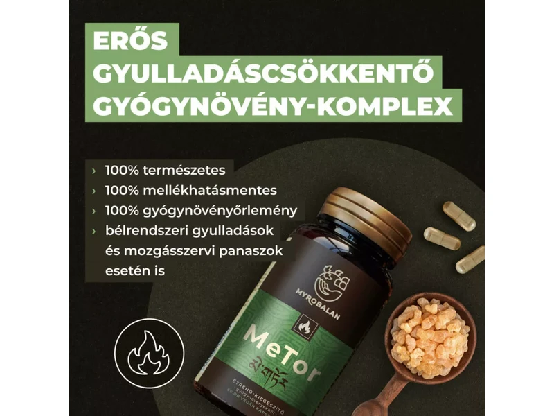 Myrobalan MeTor gyulladáscsökkentő gyógynövény-komplex 2x60db