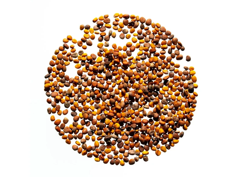 Legelde Retek Fusion 150 g csíramagkeverék