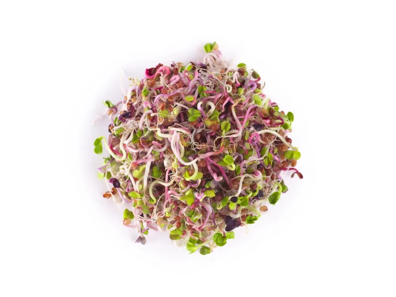 Legelde Retek Fusion 150 g csíramagkeverék