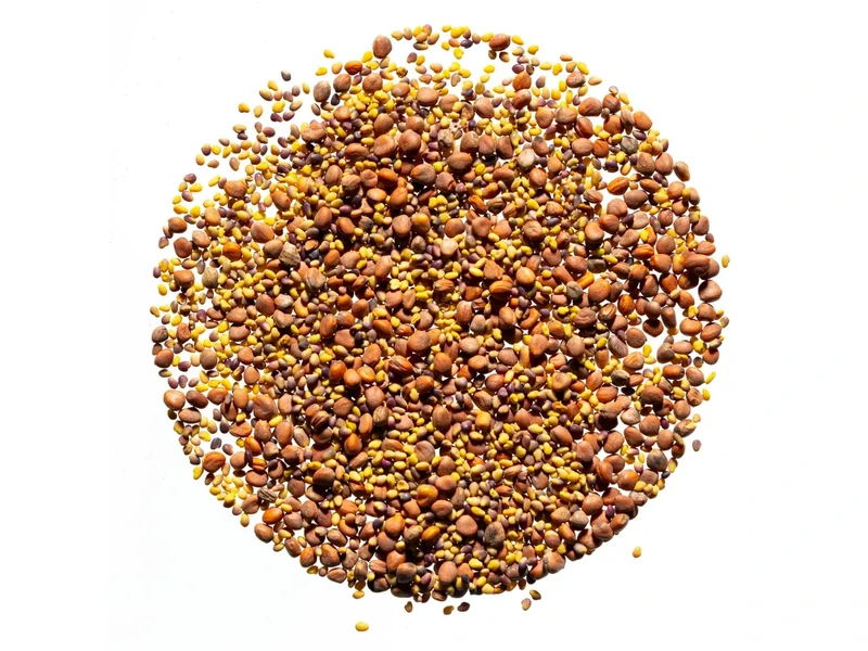 Legelde Szendvics Mix 150 g csíramagkeverék