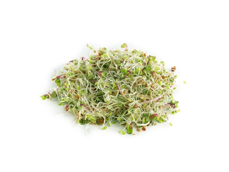 Legelde Szendvics Mix 150 g csíramagkeverék