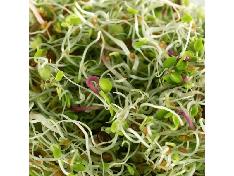 Legelde Szendvics Mix 500 g csíramagkeverék