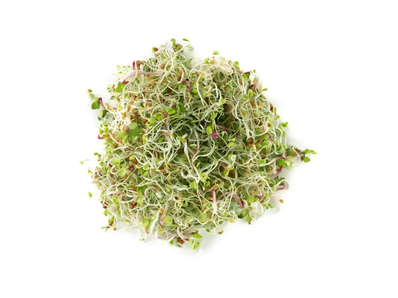 Legelde Szendvics Mix 500 g csíramagkeverék