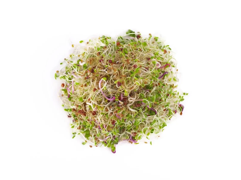 Legelde Szendvics Mix 500 g csíramagkeverék