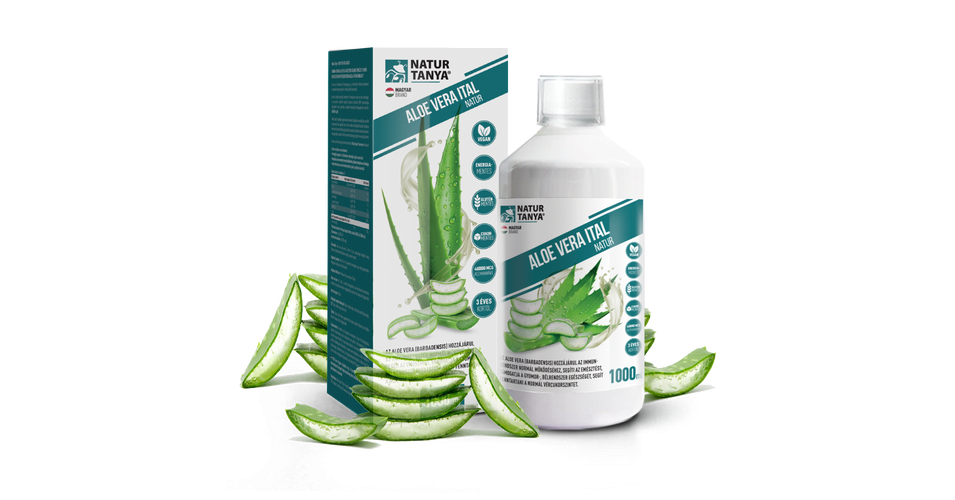 aloe vera sukkulente pflanze Aloe Vera Zimmerpflanze Höhe35 Ø10,5cm 40cm kaufen main image 0